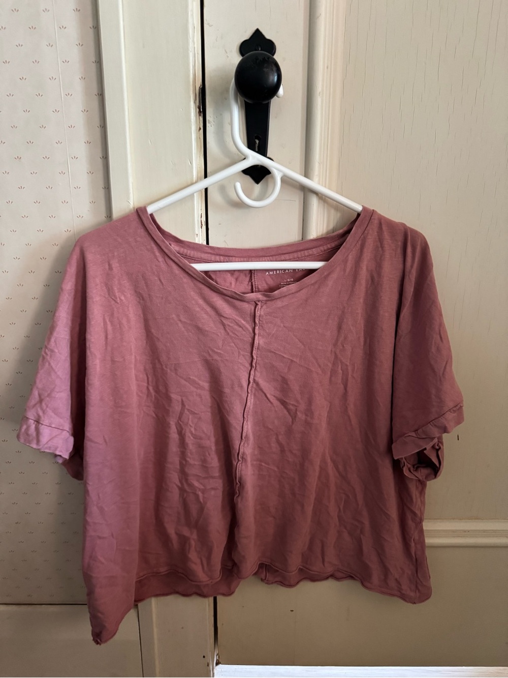 American Eagle Outfitters Dusty Mauve Boxy Cropped Tee